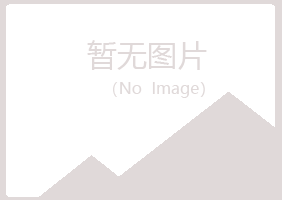 宛城区白山冶炼有限公司